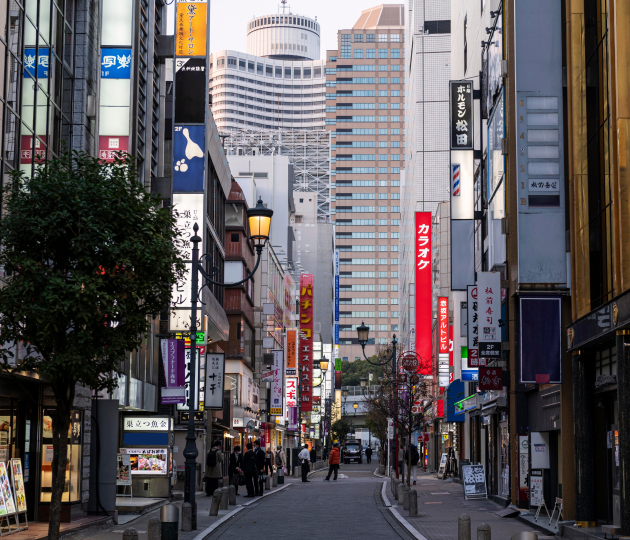 Токио visa description