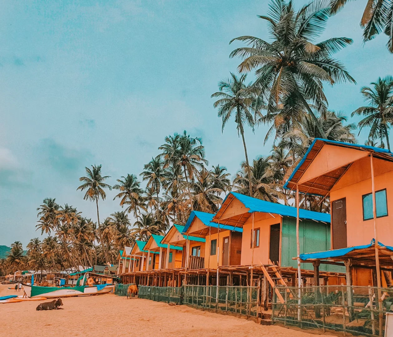 Гоа visa description