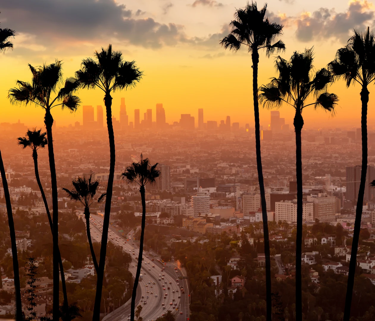 Лос-Анджелес visa description