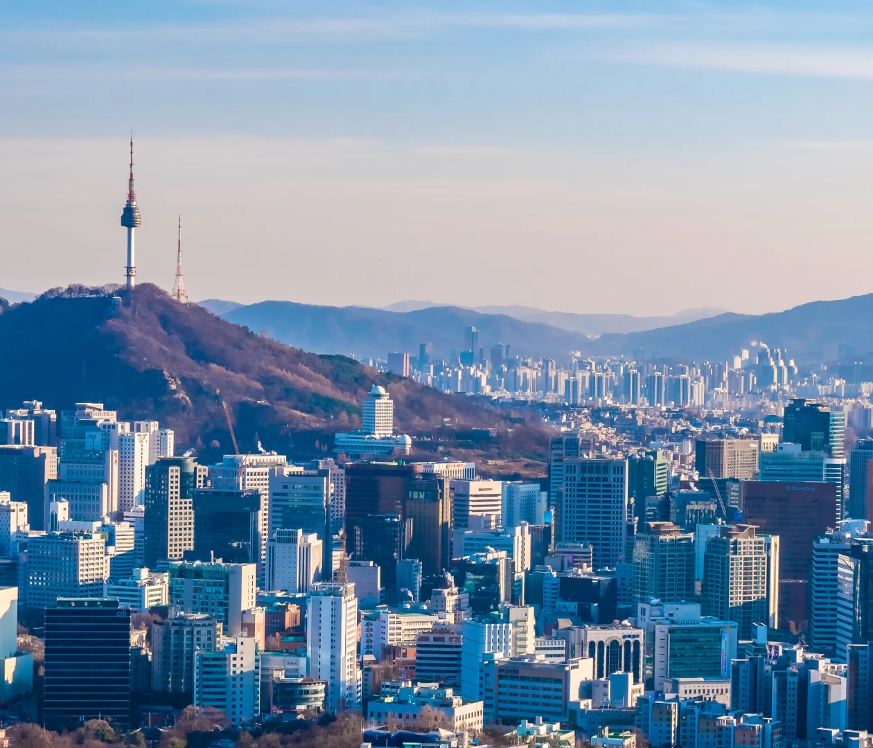 Сеул visa description