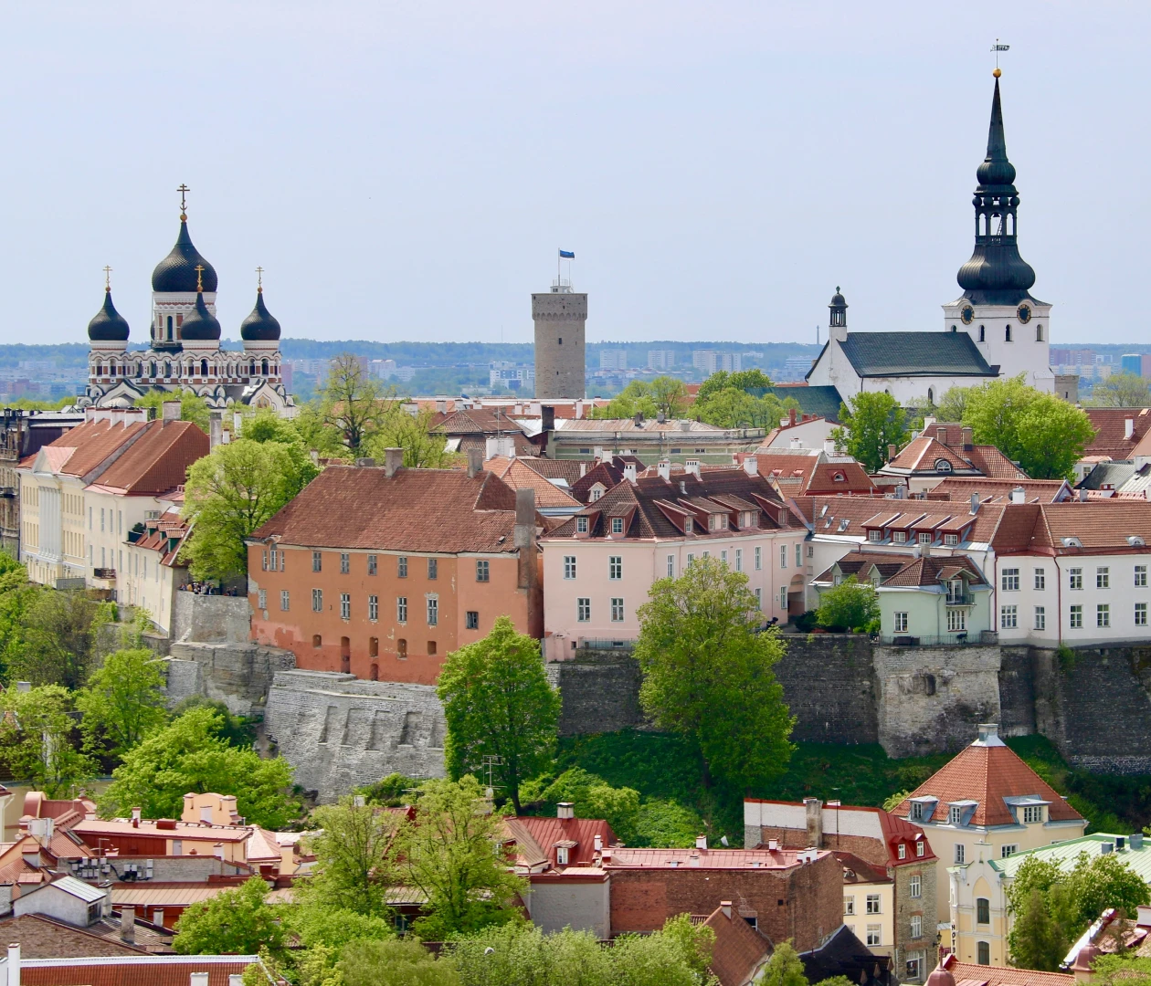 Таллин visa description