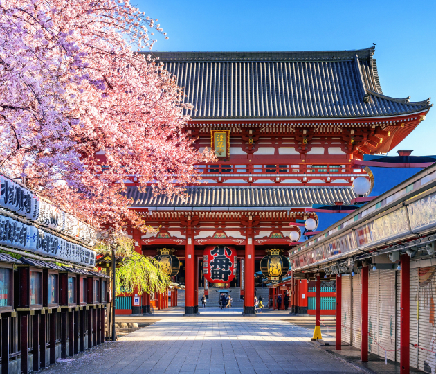 Токио visa process