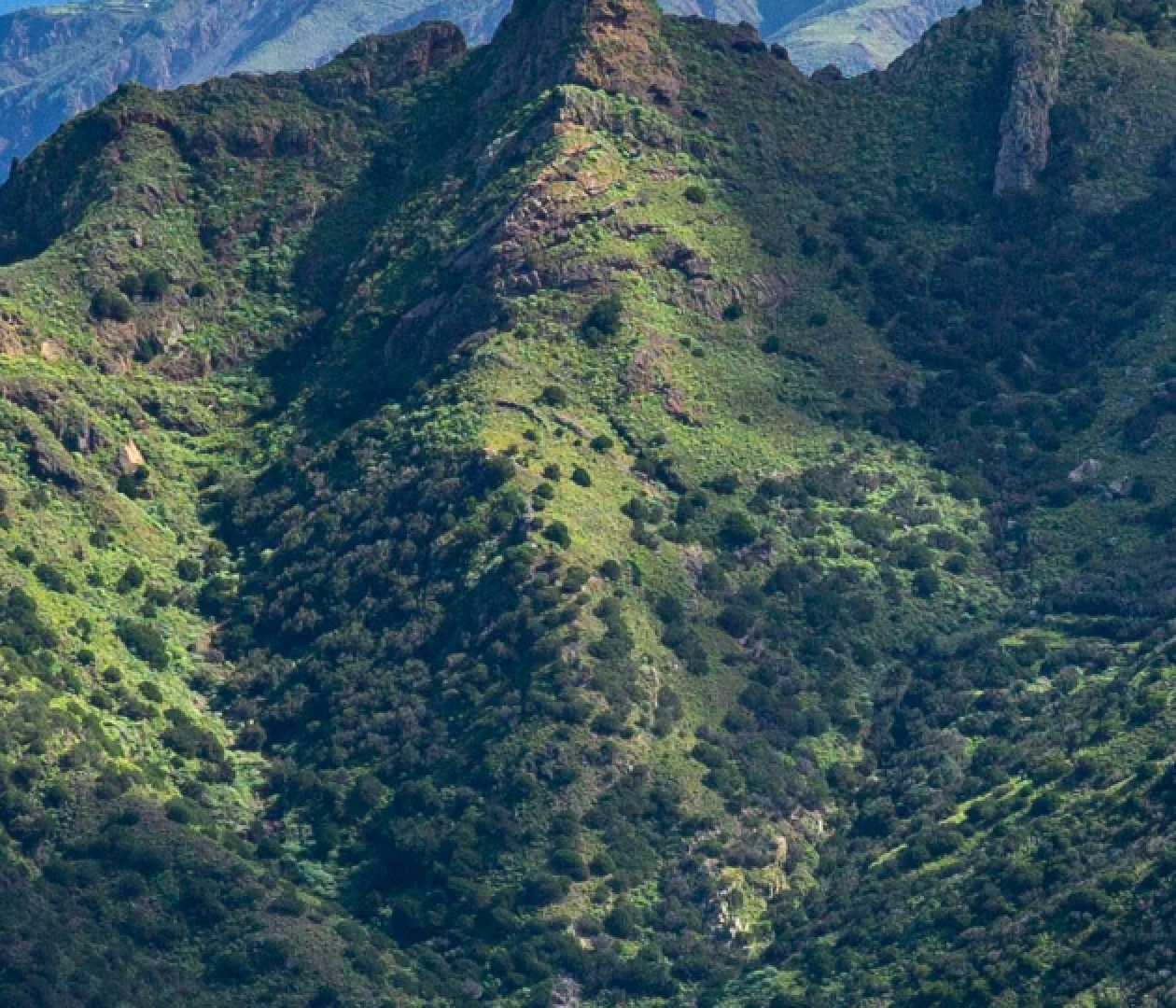 Тенерифе visa process