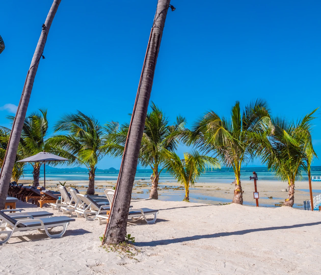 Канкун  visa process