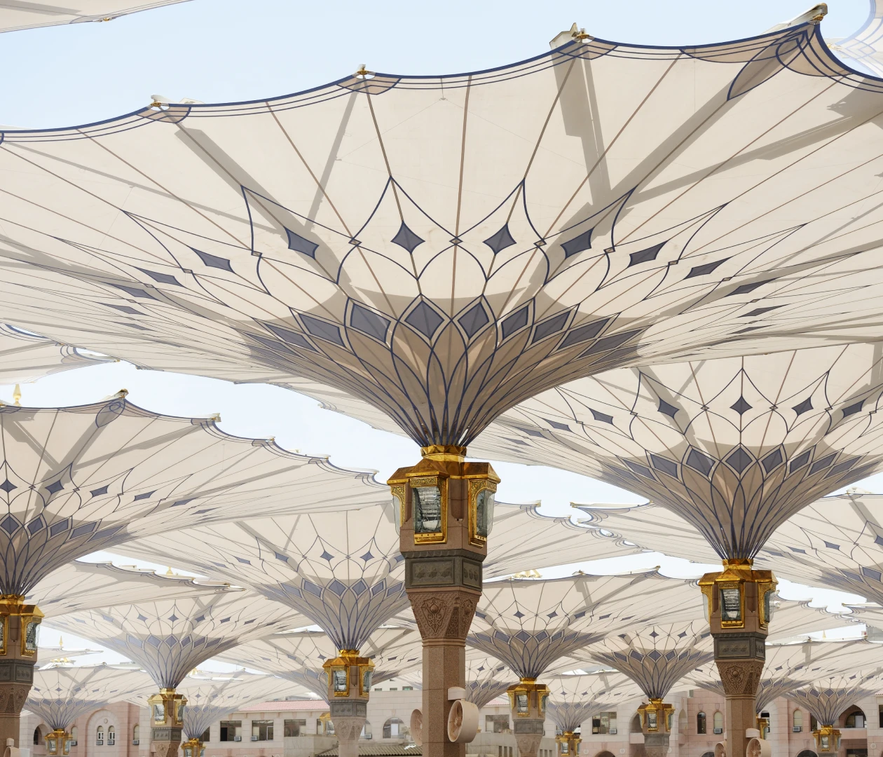 Медина visa process