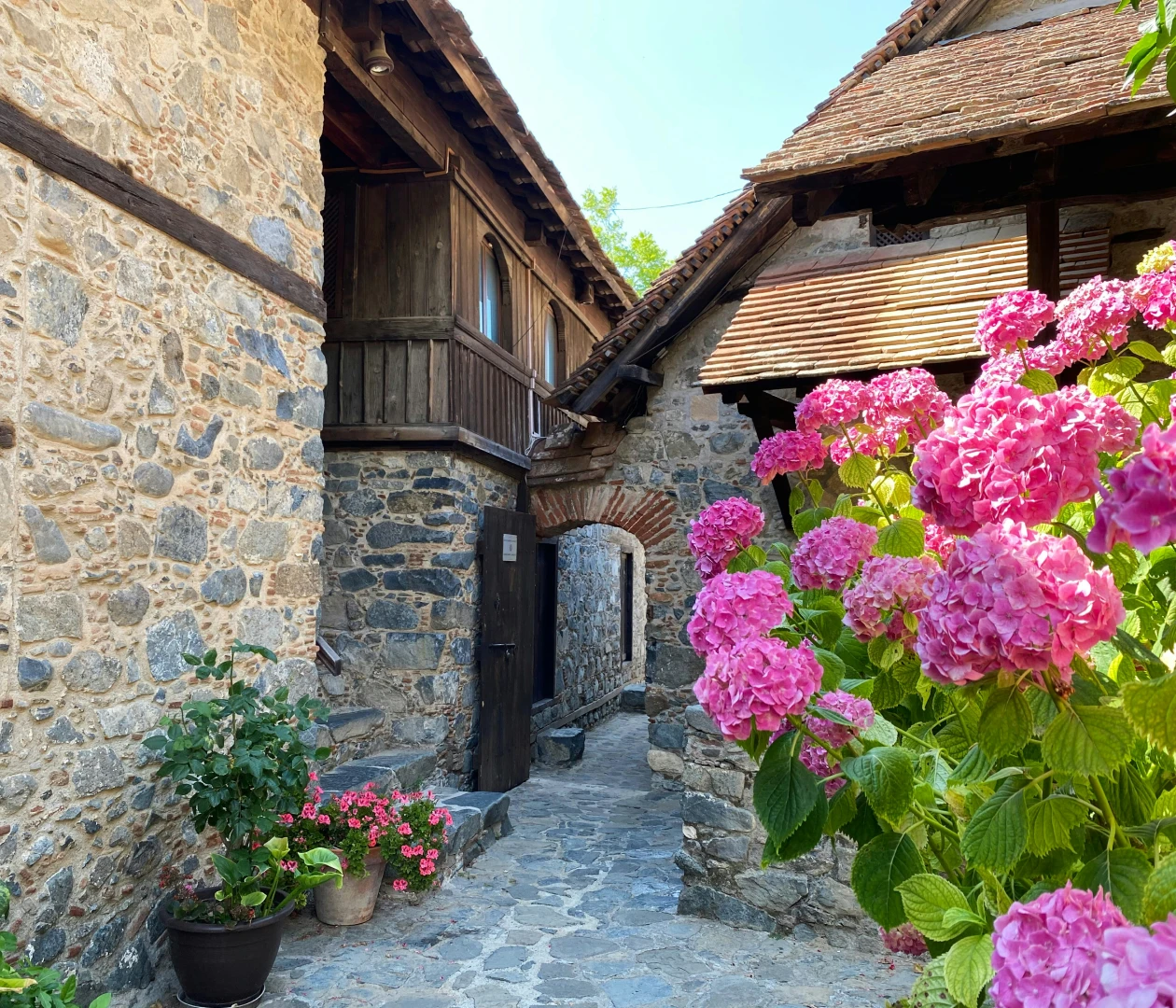 Никосия visa process