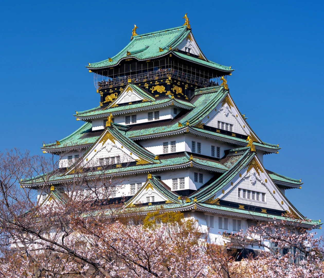 Осака visa process