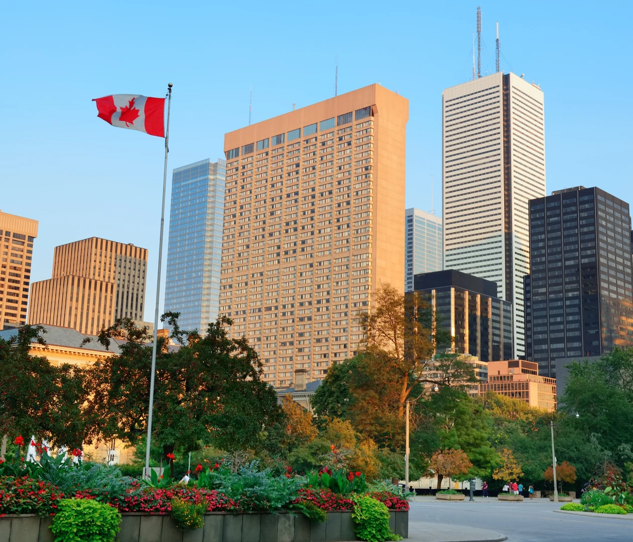 Торонто visa process