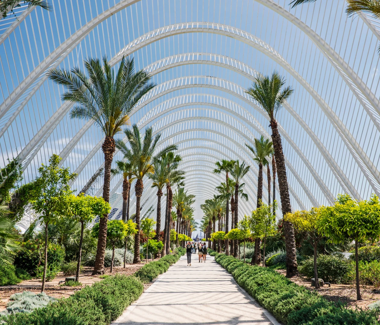 Валенсия visa process