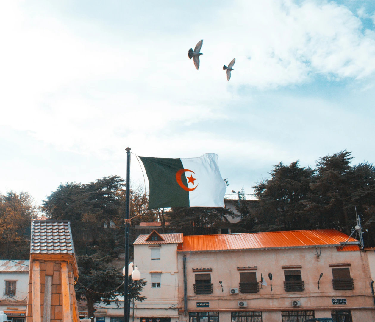 Алжир visa description