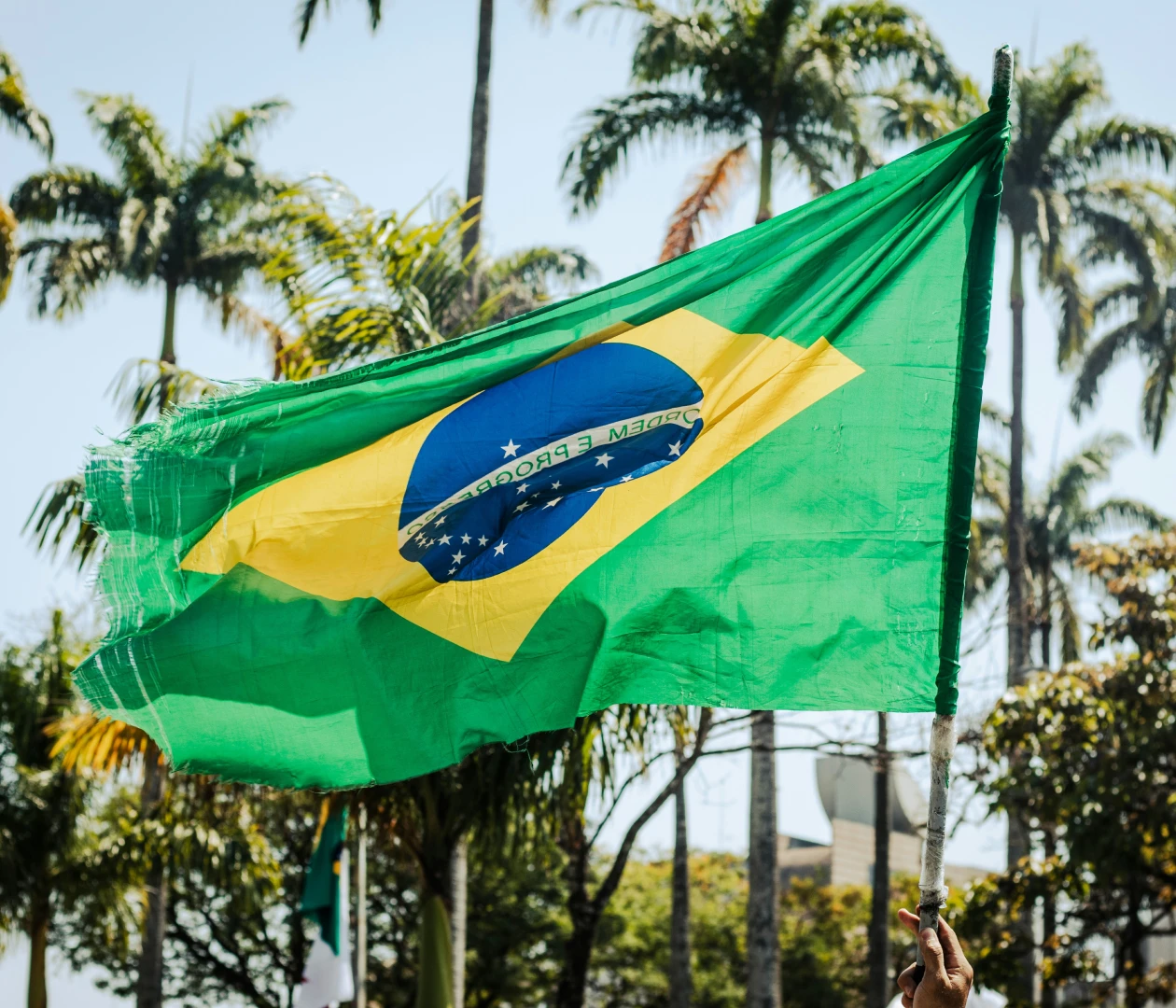 Бразилия visa description