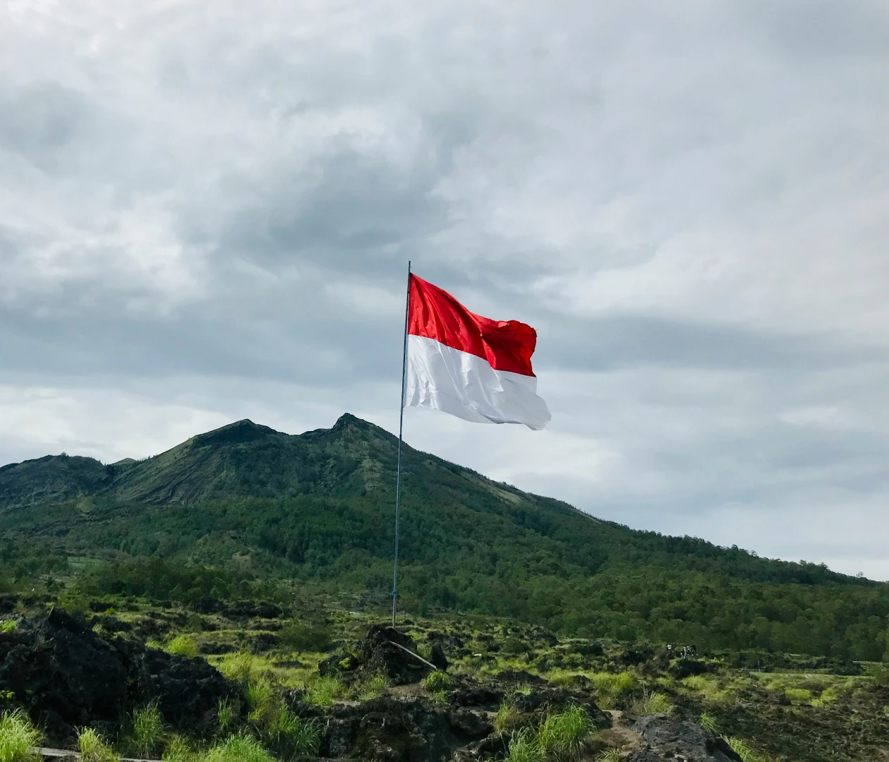 Индонезия visa description