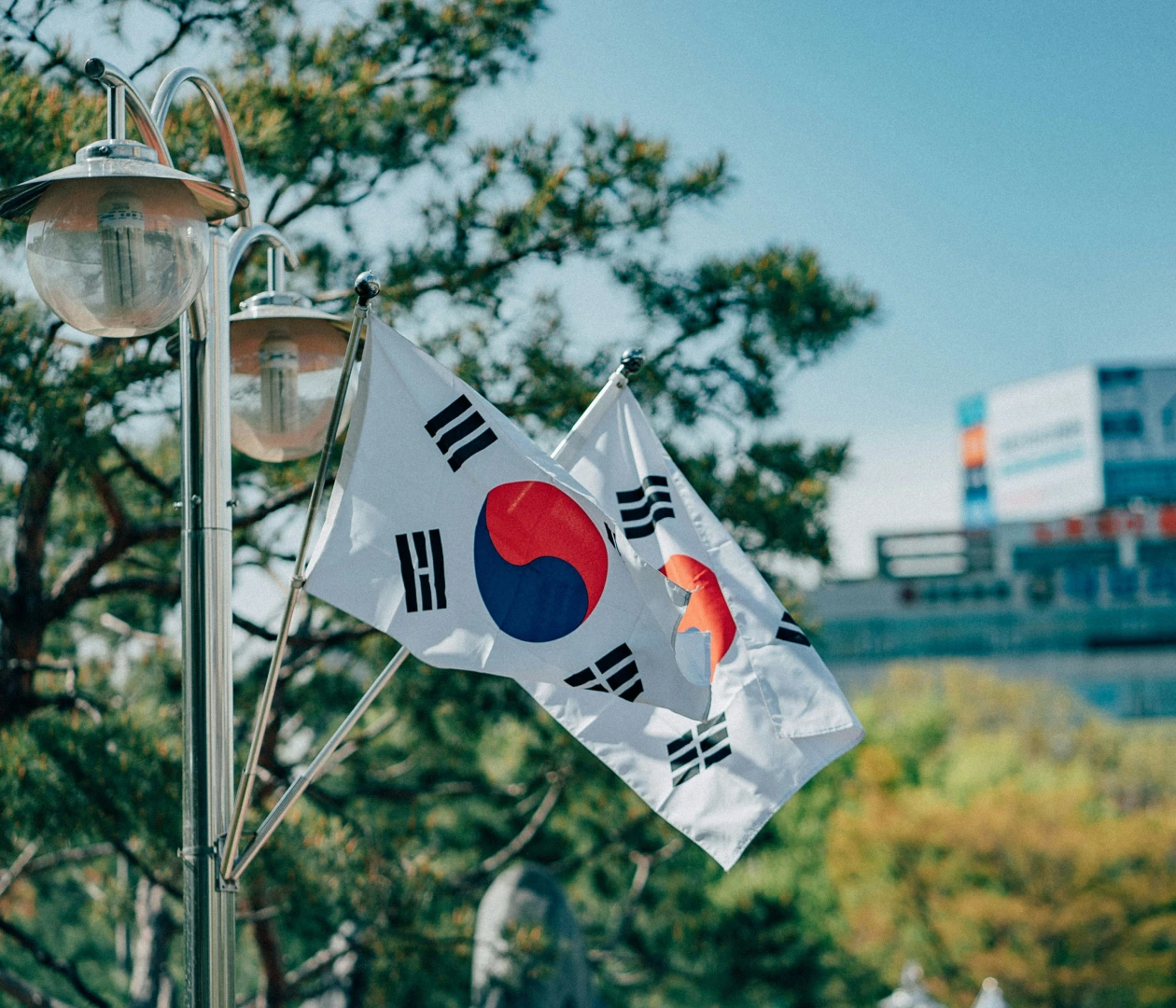 Южная Корея visa description