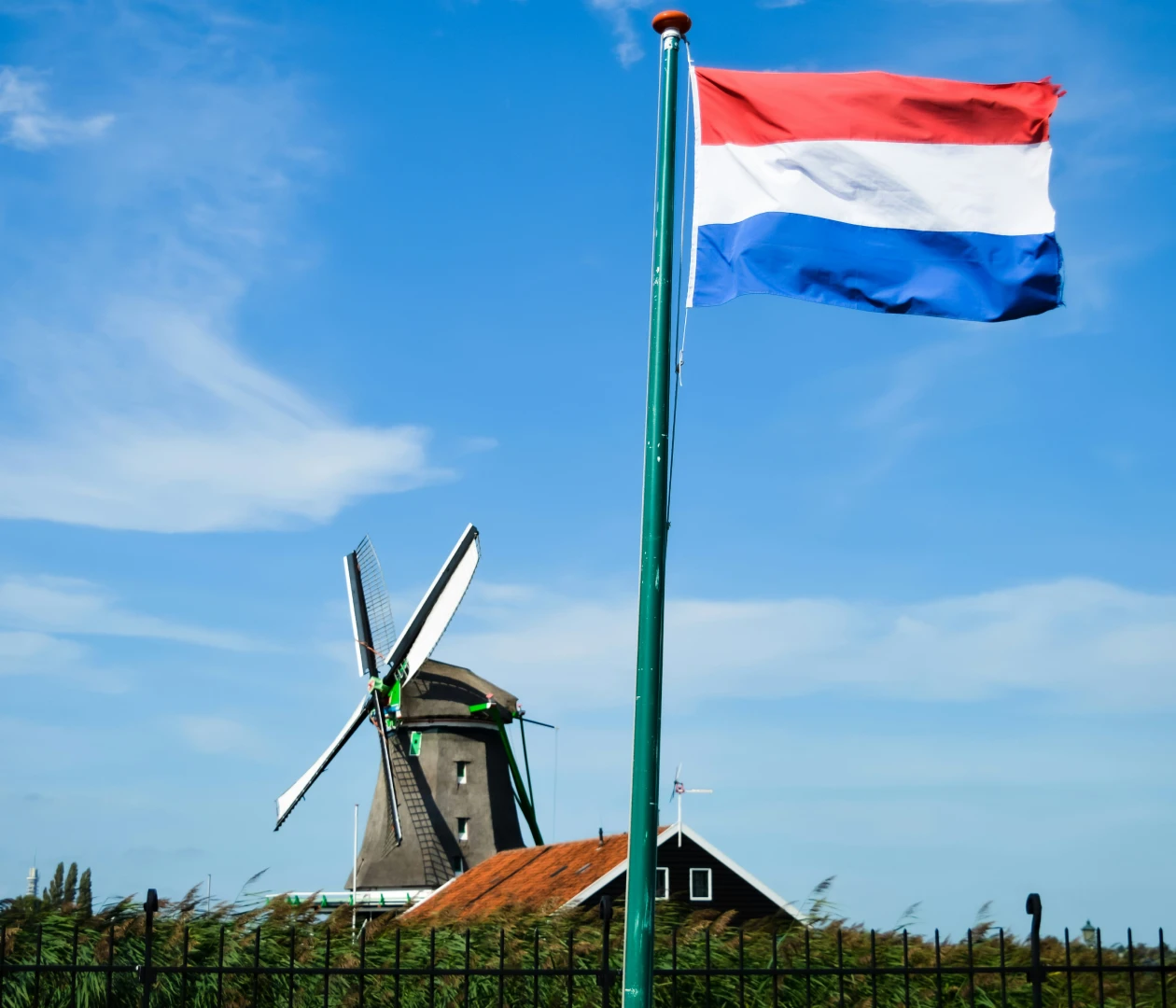 Нидерланды visa description