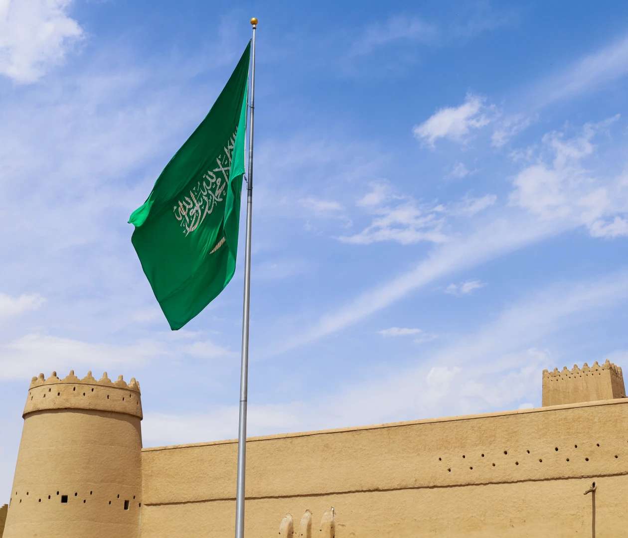 Саудовская Аравия visa description