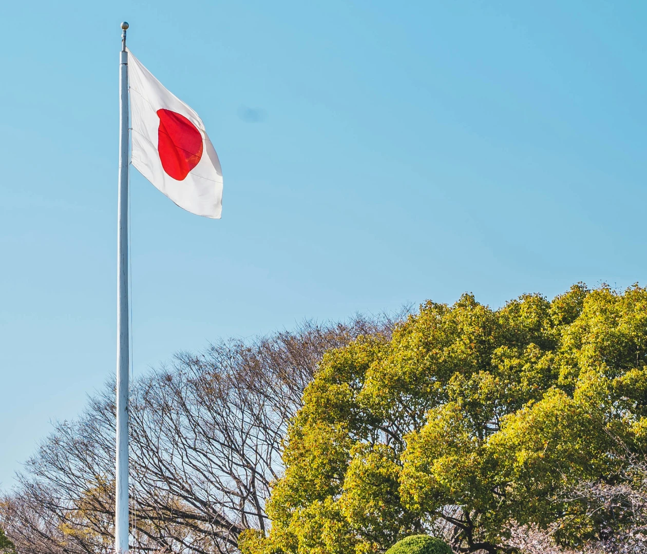 Япония visa description