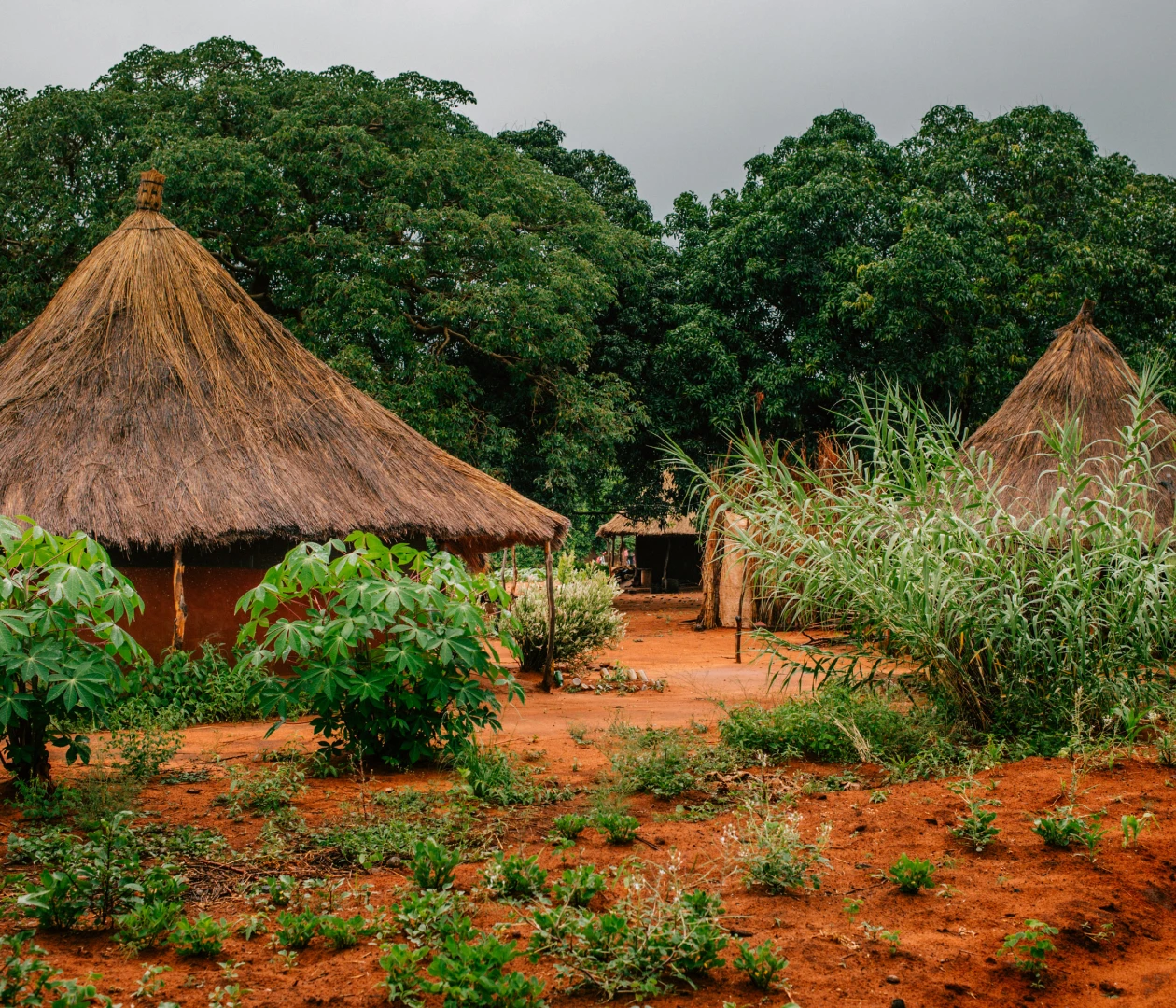 Конго visa process