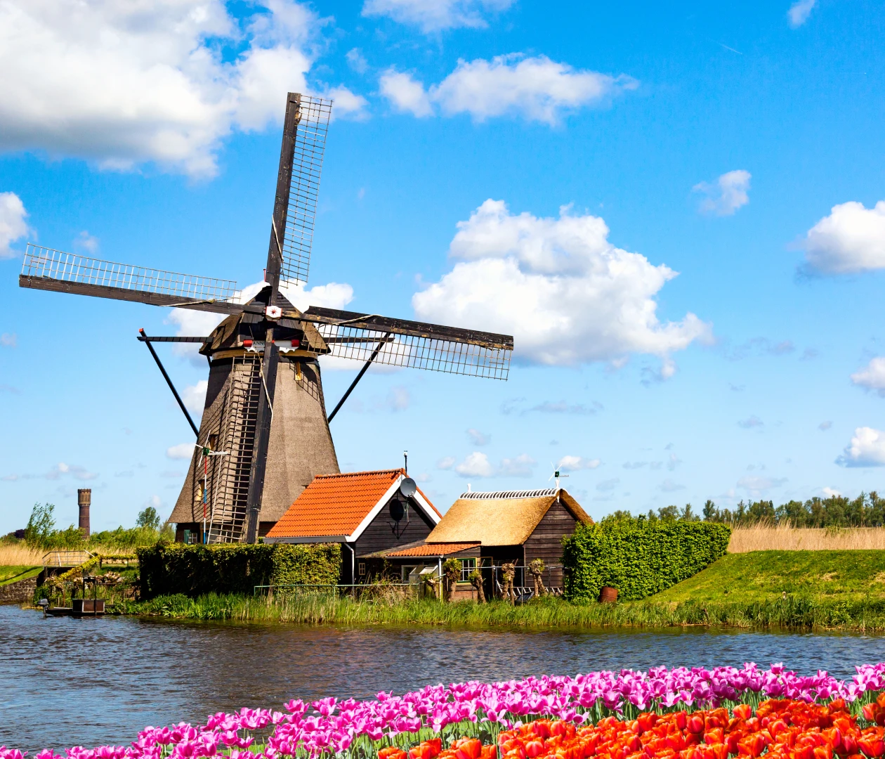 Нидерланды visa process