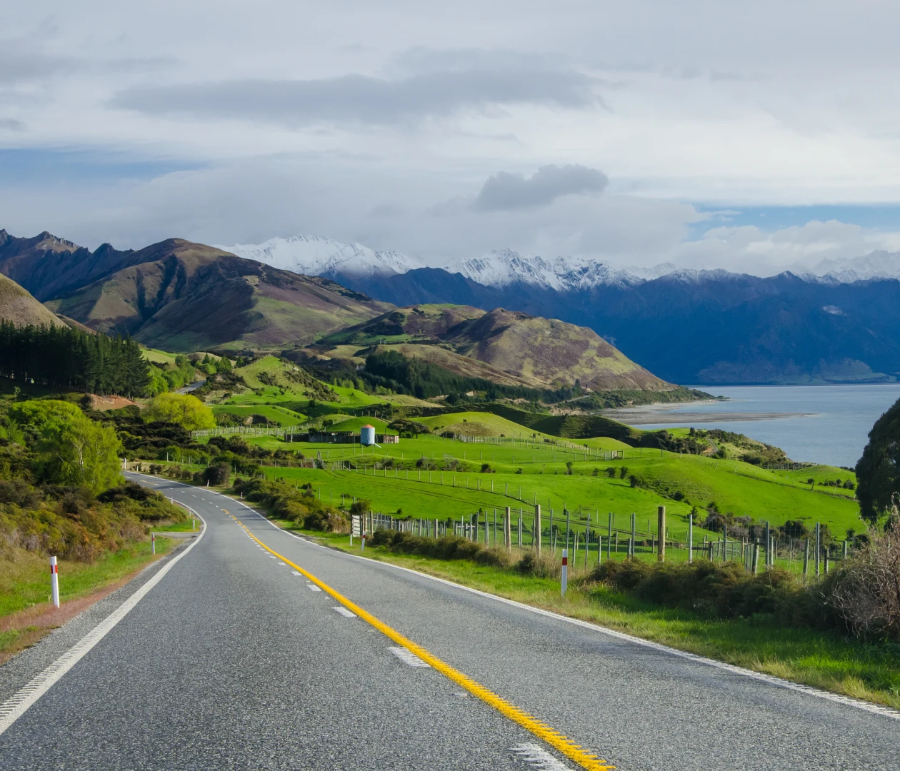 Новая Зеландия visa process