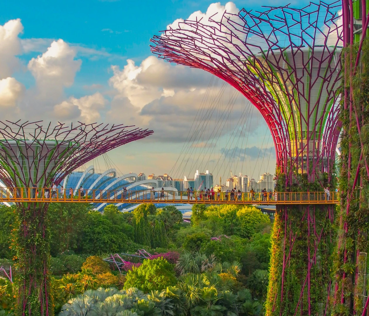 Сингапур visa process