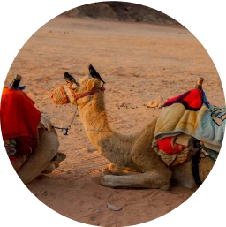 Ближний Восток